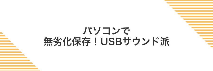 パソコンで無劣化保存!USBサウンド派