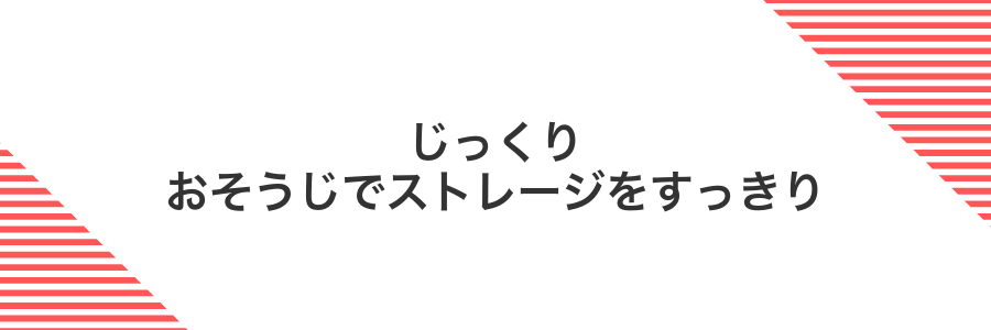 じっくりおそうじでストレージをすっきり