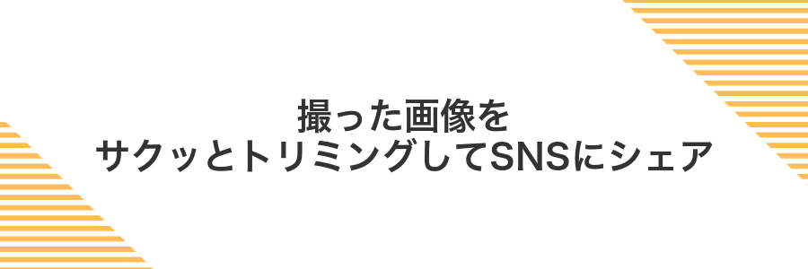 撮った画像をサクッとトリミングしてSNSにシェア