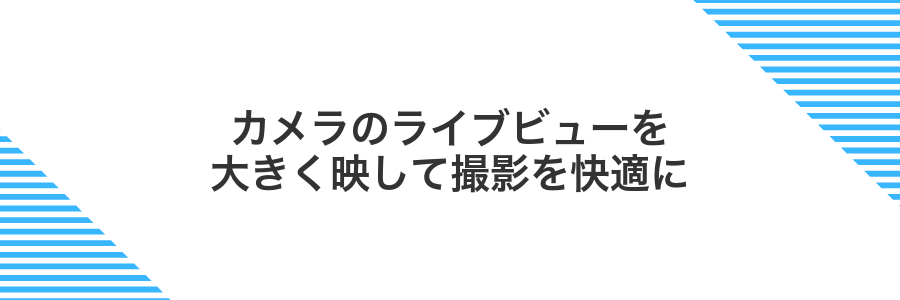 カメラのライブビューを大きく映して撮影を快適に